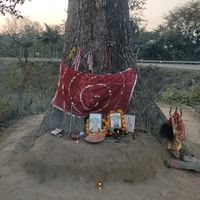 reshpokharel1