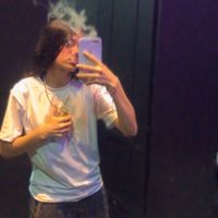 carvalho_ltzzx