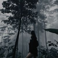 suara asli - Olla۶ৎ