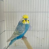 zoroo.co