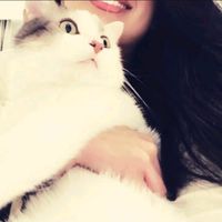 nmamedoffaa_