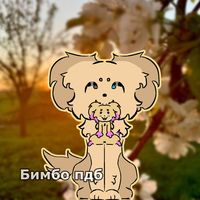 essa_bimbolitehas