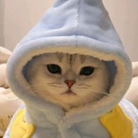 เสียงต้นฉบับ - 🌠