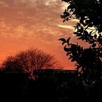 rose._.asthetic158