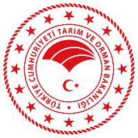 orijinal ses