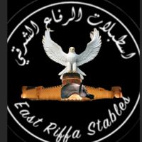 east.riffa.stables