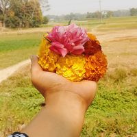 crush_queen_640