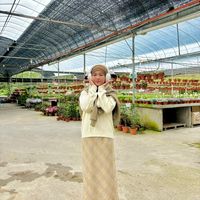 original sound - sya