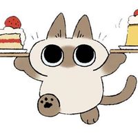 bamzzhao