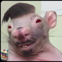 som original - CapeFunny