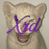 theswaggiestbitchever__