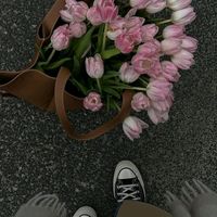 user.55620