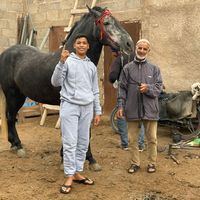 tbourid_badni49