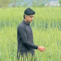 original sound - rahimullahkakakhel