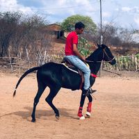 alan_souza_555