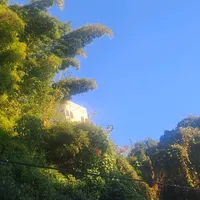 original sound - cr..0070