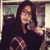 suara asli - TFfamily_stan