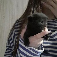 _olxviaa