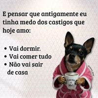 sarahgmail.com197