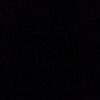 tony_hola