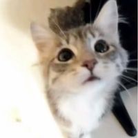 7525o