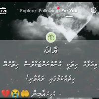 .zehm1334