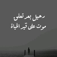 mahmaoud44
