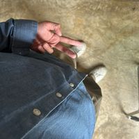 flukefrankie_