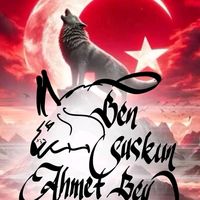 orijinal ses