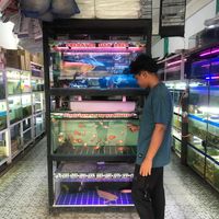 suara asli - Aneuk Acsel