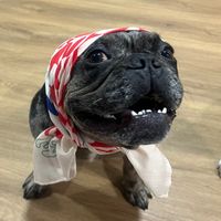 mameawandtwosogs