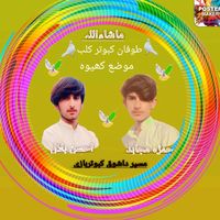 shokmalikda94