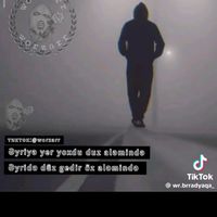 alizadeh.77