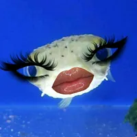 original sound - _1kancy