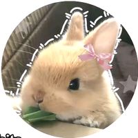 오리지널 사운드 - 은비