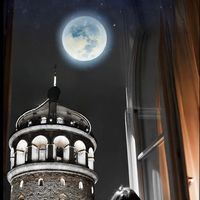 moon_lady888