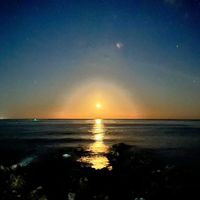 Bout You Seventeen Dino rap part