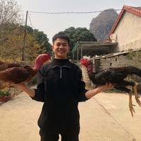 haidang09_