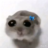 papanisteven48