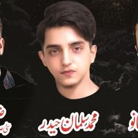 salmanhaider1.1