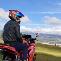 bikersolitario1993