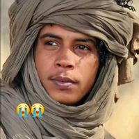 sultan__arada
