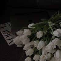 user_accounttttt