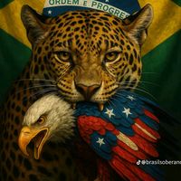 paubrazil45