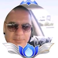 yarin_haver