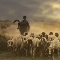 original sound - .baloch434