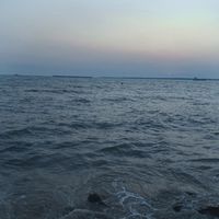 sarinya.11