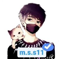 m.s.s11