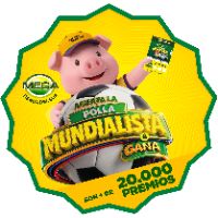 megatiendadelsur
