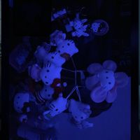 オリジナル楽曲 - とある中学1年生🦖💗